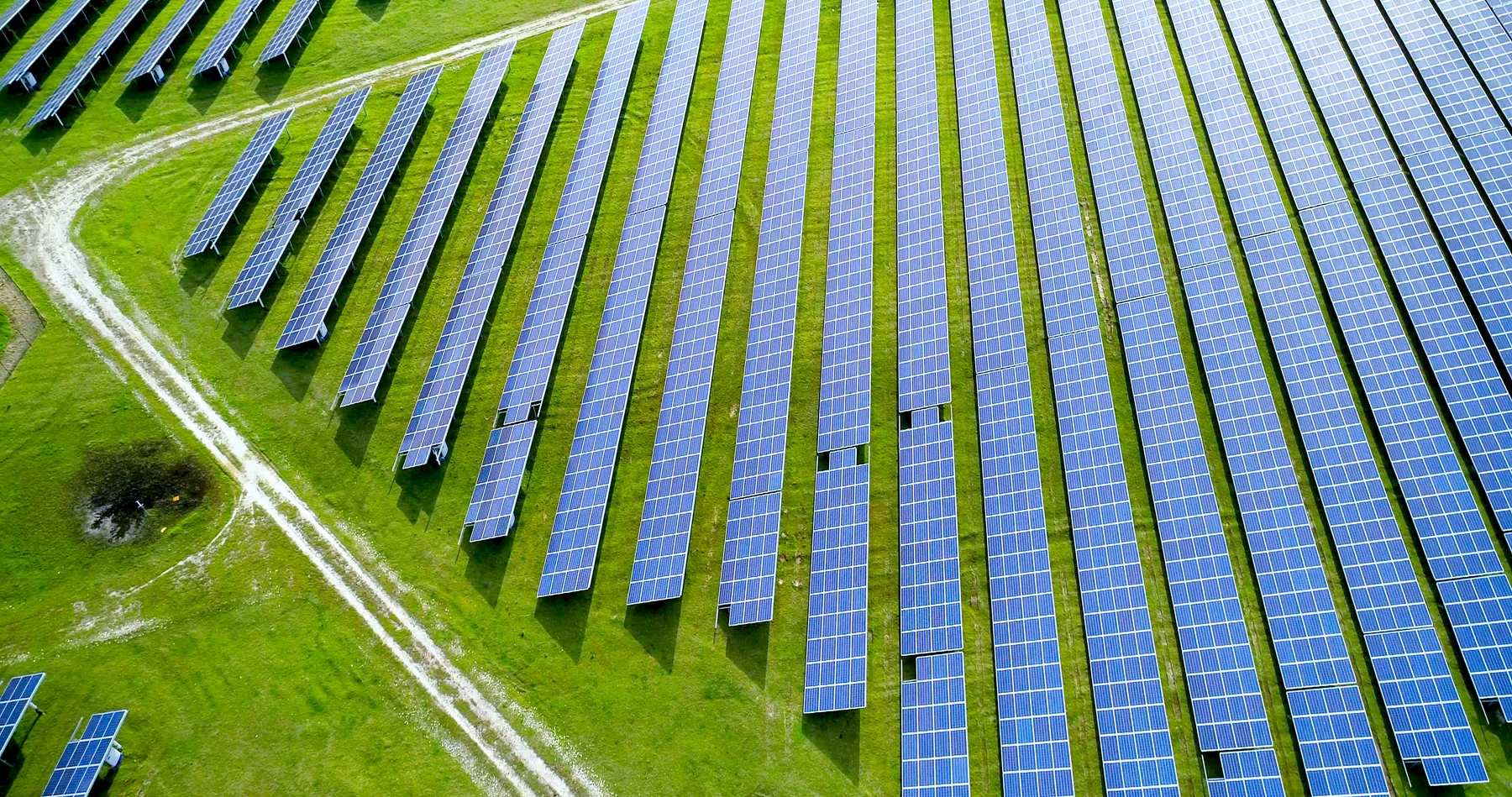 Luftaufnahme regelmäßig angeordneter Solarmodule auf einer Freifläche