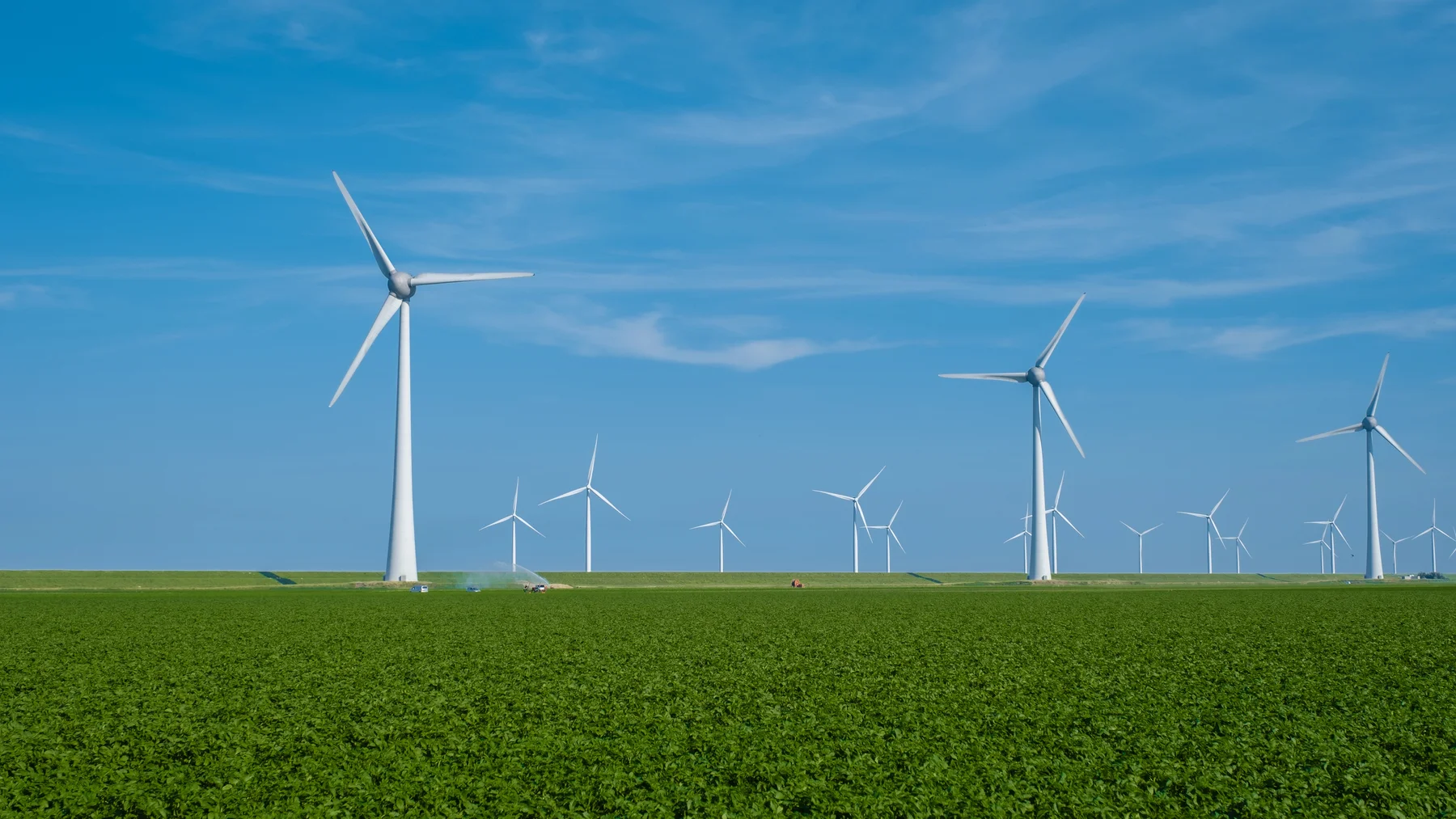 Windkraftanlagen entlang landwirtschaftlicher Flächen unter blauem Himmel